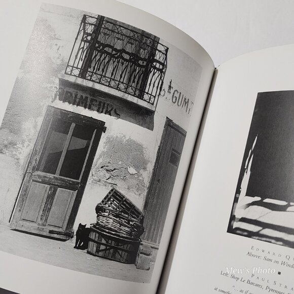 Black & White Cats Hardcover – January 1, 1992 - Picture 7 of 9